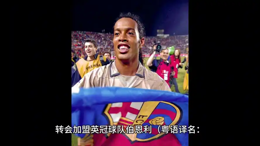 好全方位的