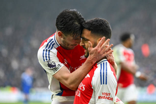 的适应能力 的适应能力