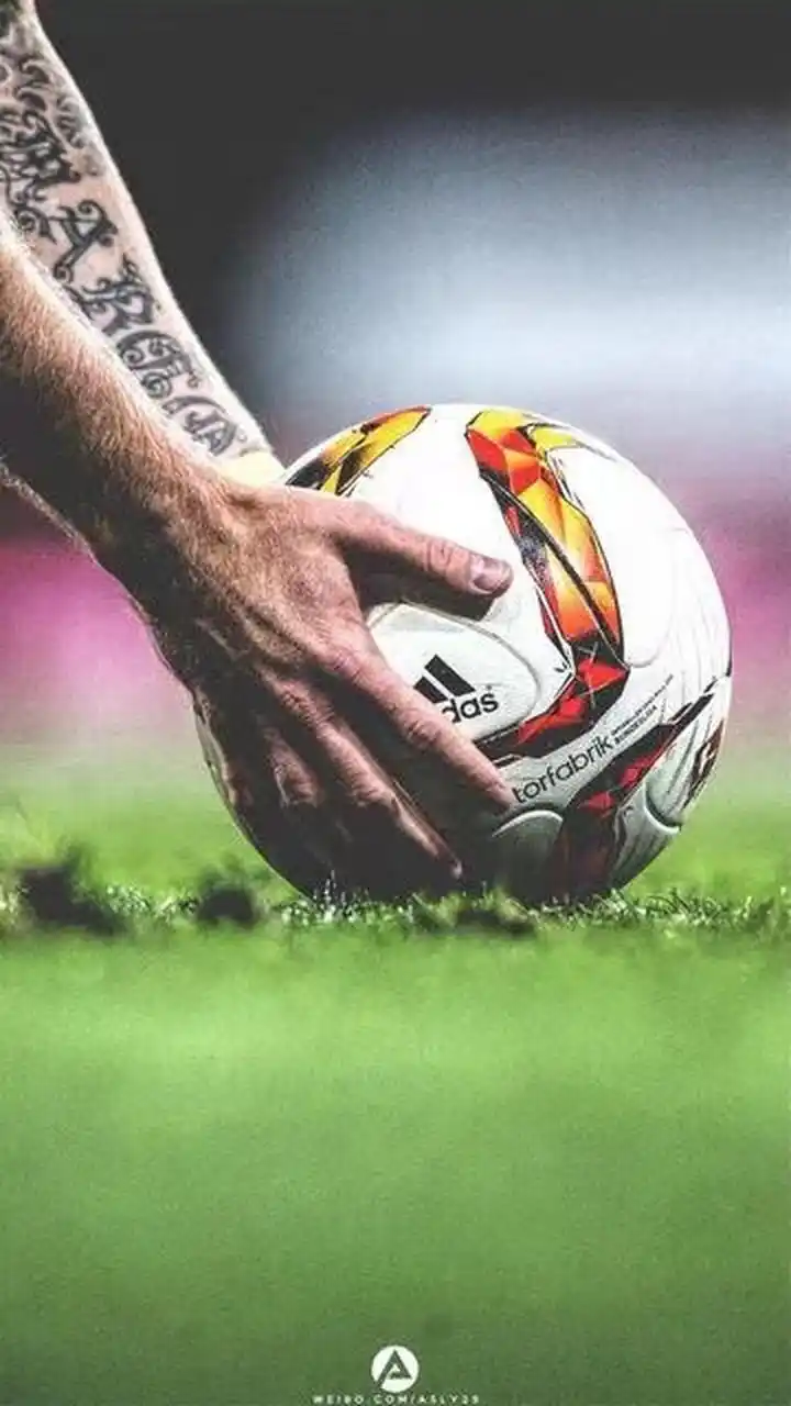 性的结合 性的结合